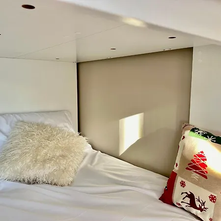 公寓 Luxury 4beds Ski-in&out Large! 布勒伊-切尔维尼亚
